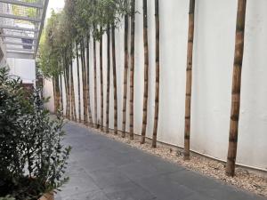 Condesa Residence Amsterdam 102 Stylish 1 bed1 Bath on Amsterdam Av