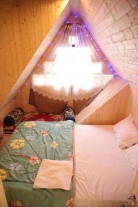 Cozy Nest Homestay