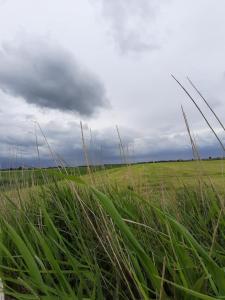 NEU! Ferienwohnung Zur Pusteblume