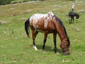 B&B / Chambres d'hotes Le Moulin Berthon : photos des chambres