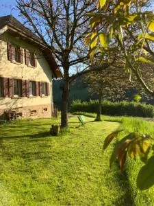 Auszeit im Waldhaus - Jllenberg