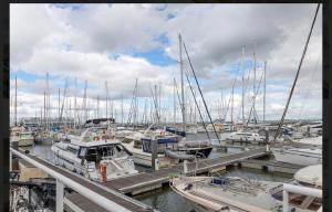 Beautiful and magnific yacht
