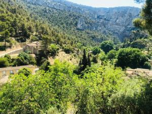 B&B / Chambres d'hotes B&B Villa Chante Coucou : photos des chambres