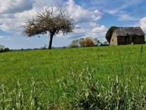 Maisons de vacances Maison PRECEY : photos des chambres