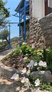 light house kule , değirmen deniz manzaralı taş villa