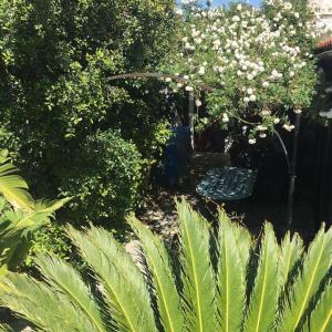 Kos Guest House with patio and garden