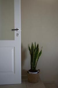 IL CORTILE DELLE ZAGARE