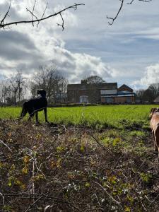 The Tack Store, Modern 3 Bed, 6 person, Barn in a Rural Setting with Great Access