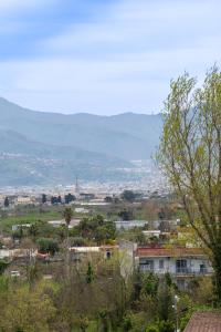 Residenze Vesuviane - Pompei