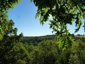 B&B / Chambres d'hotes Cabane-hobbit de Samsaget : photos des chambres