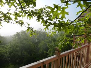 B&B / Chambres d'hotes Cabane-hobbit de Samsaget : Chambre Quadruple - Vue sur Jardin