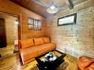 Jungle 1 House Ada Bojana