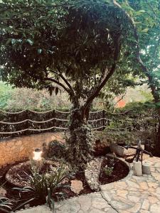 Garden Paradise Apartment