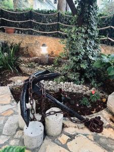 Garden Paradise Apartment