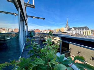 Le Panoramique des Carmes - Vue Cathédrale