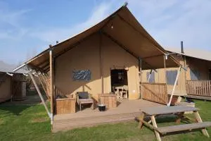 Luxe en sfeervolle safaritent met eigen badkamer voor 6 personen Doc - Someren-Heide