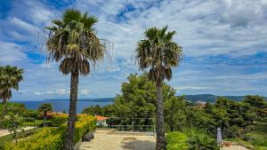 Villa Palma Posidi with Private pool