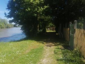 Maison " Bouton dor" au bord de leau, à 10 mn de Tours , meublé classé une étoile