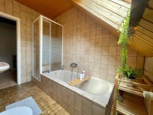 Apartment Harzperle - Lautenthal