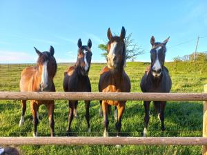 Tipi du petit villers