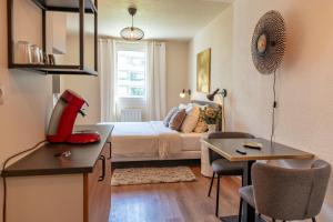 Lyon centre appartement meublé