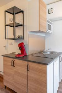 Lyon centre appartement meublé