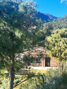 Villas La Maison de la Genette - 5 etoiles : photos des chambres