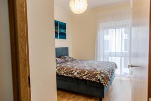 Modern Niidu Apartment