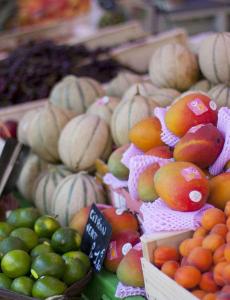 Maisons de vacances Villa ALISA avec piscine privee : Maison 3 Chambres