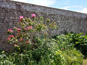 B&B / Chambres d'hotes Rose Garden Bayeux : photos des chambres