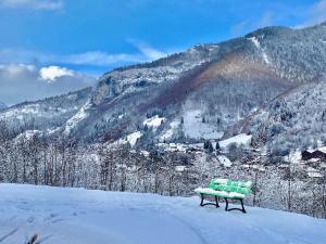 Chalets La Vieille Ferme de la Moussiere : photos des chambres