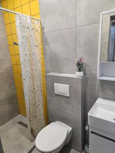 Whale Urban Apartments