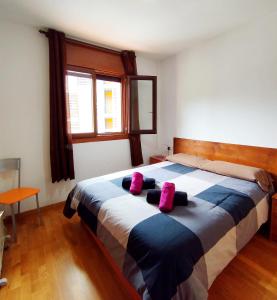 Apartaments Sort Pirineus