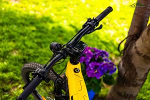 Докторската къща