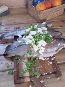 Beautiful idilic stay at The Box