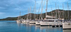 Adriaticoast Holiday Apartments- Dalmatian Dream 