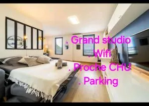 L'Emeraude - Studio proche du CHU - Le Brûlé