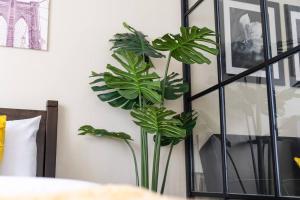 Urban Oasis Cozy Escape