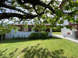 B&B / Chambres d'hotes Calicho : photos des chambres