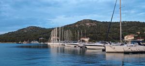 Adriaticoast Holiday Apartments- Blue Horizon