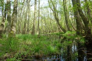 FeWo Käuzchen - Ulenhoef