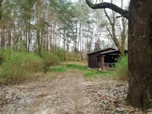 Przystań u Zosi - Drezdenko