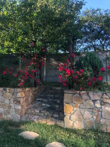 Pink Garden Events Advance Notice Required