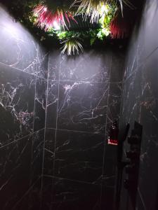 Appartements La Bulle Ensablee : photos des chambres