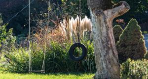 Gestüt Feuerstein- Lanznasterhof