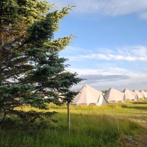 Godaland Glamping
