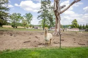 Hobbit House, one-of-a-kind home - Joppa