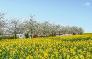 Nice Home In Glemmingebro With Wifi