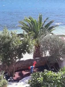 Apartments Bulovic Bozo 2 - 博德戈拉维查