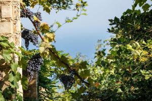 Kalderimi Country House Pelion Greece